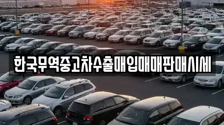 경북 영천시 임고면 중고차 전문 한국무역중고차수출매입매매판매시세