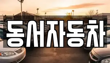경상남도 창원시 진해구 평안동 중고차 전문 동서자동차