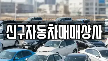 경상북도 경주시 서부동 중고차매매 전문 신구자동차매매상사