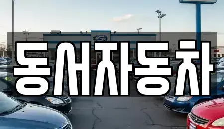 경상북도 고령군 운수면 중고차,렌트카,중고차매입,중고차매매,장기렌트카,단기렌트카