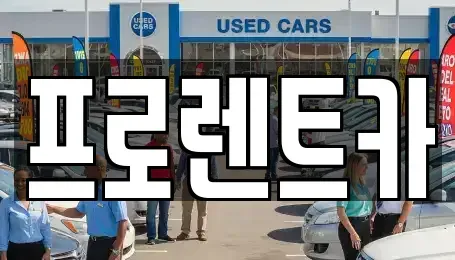 경상북도 안동시 남문동 렌트카 전문 프로렌트카