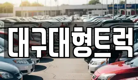 경상북도 칠곡군 중고차 전문 대구대형트럭