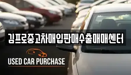 경상북도 칠곡군 중고차매입 전문 김프로중고차매입판매수출매매센터