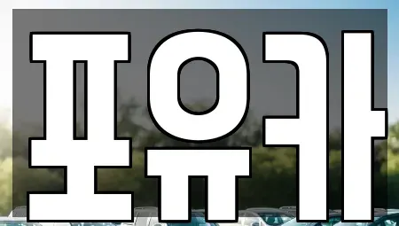 경상북도 포항시 남구 호동 중고차 전문 포유카