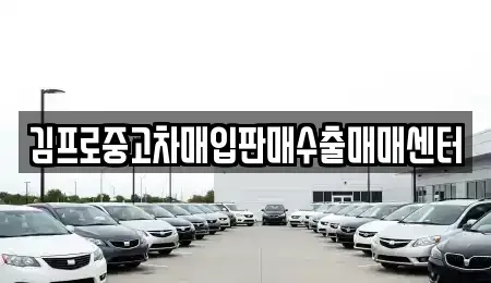 경상북도 포항시 남구 호동 중고차매입 전문 김프로중고차매입판매수출매매센터