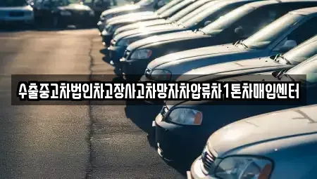 경상북도 포항시 남구 호동 중고차매입 전문 수출중고차법인차고장사고차망자차압류차1톤차매입센터