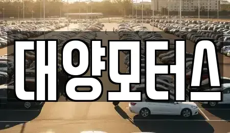 광주 광산구 임곡동 중고차매매 전문 대양모터스
