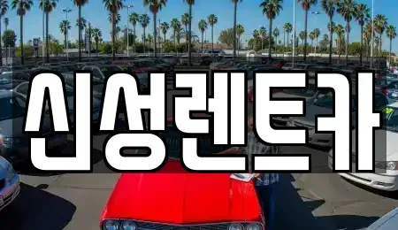 광주 광산구 장덕동 렌트카 전문 신성렌트카