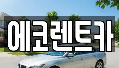 광주 광산구 장덕동 렌트카 전문 에코렌트카