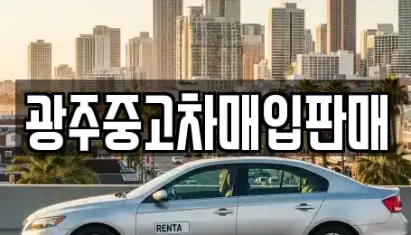 광주 광산구 장덕동 중고차매매 전문 광주중고차매입판매