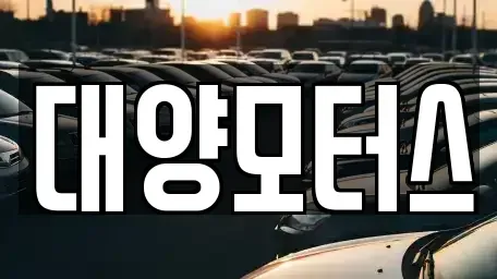 광주 동구 선교동 중고차 전문 대양모터스