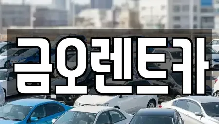대구 달서구 도원동 렌트카 전문 금오렌트카