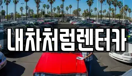 대구 달서구 도원동 렌트카,단기렌트카,장기렌트카,중고차,중고차매매,중고차매입