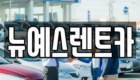 대구 달서구 도원동 렌트카 전문 뉴예스렌트카