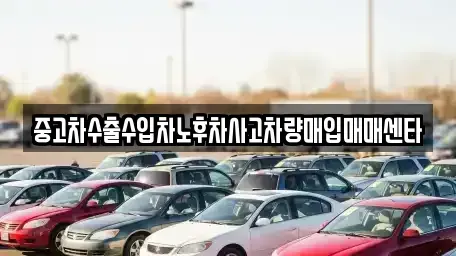 대구 달서구 본리동 중고차 전문 중고차수출수입차노후차사고차량매입매매센타
