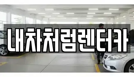 대구 동구 둔산동 렌트카 전문 내차처럼렌터카
