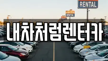 대구 동구 서호동 렌트카 전문 내차처럼렌터카