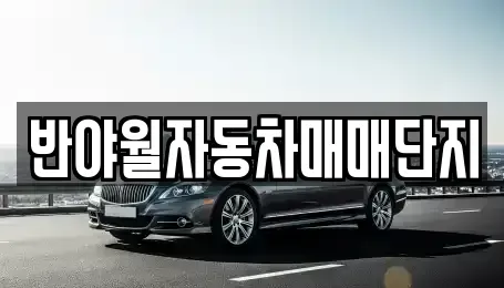 대구 동구 서호동 중고차 전문 반야월자동차매매단지