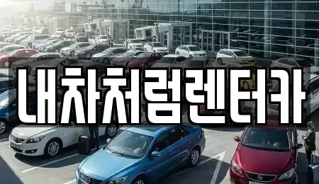 대구 동구 신기동 렌트카 전문 내차처럼렌터카
