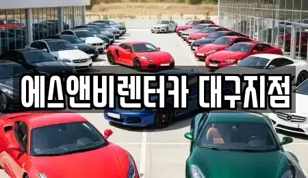 대구 동구 신기동 렌트카 전문 에스앤비렌터카 대구지점