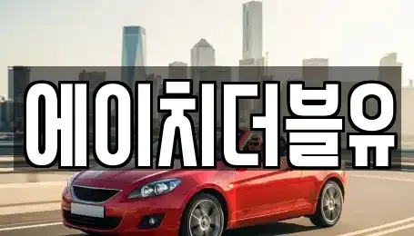 대구 동구 신기동 렌트카 전문 에이치더블유