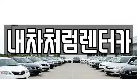 대구 중구 봉산동 렌트카 전문 내차처럼렌터카