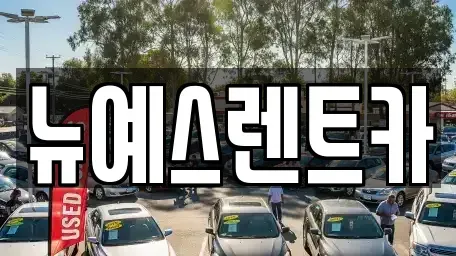대구 중구 봉산동 렌트카 전문 뉴예스렌트카