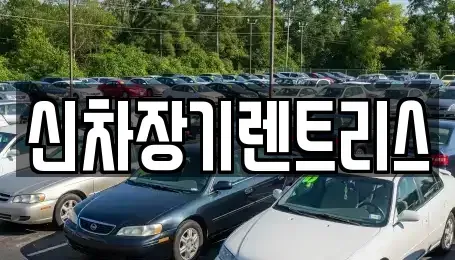 대구 중구 봉산동 렌트카 전문 신차장기렌트리스