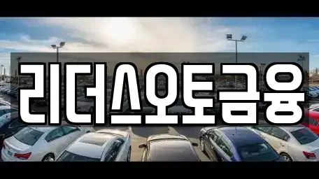 대구 중구 봉산동 장기렌트카 전문 리더스오토금융