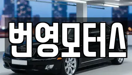 대구광역시 달서구 월성동 중고차매매 전문 번영모터스