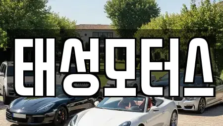 대구광역시 달서구 월성동 중고차매매 전문 태성모터스