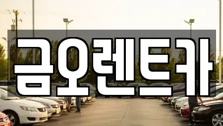 대구광역시 북구 고성동3가 장기렌트카 전문 금오렌트카