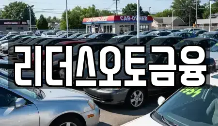 대구광역시 북구 고성동3가 장기렌트카 전문 리더스오토금융