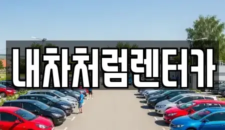 대구광역시 수성구 성동 렌트카 전문 내차처럼렌터카