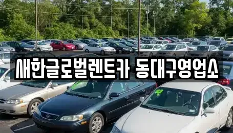 대구광역시 수성구 성동 렌트카 전문 새한글로벌렌트카 동대구영업소