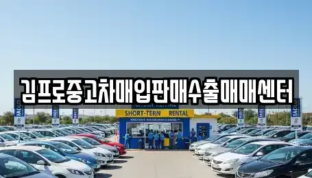 대구광역시 수성구 성동 중고차매입 전문 김프로중고차매입판매수출매매센터