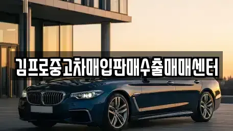 대전광역시 대덕구 읍내동 중고차매입 전문 김프로중고차매입판매수출매매센터
