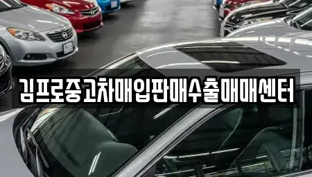 부산광역시 서구 동대신동3가 중고차매입 전문 김프로중고차매입판매수출매매센터