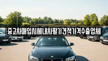 부산광역시 서구 동대신동3가 중고차매입 전문 중고차매입시세내차팔기견적가격수출업체