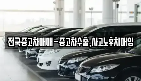 서울 강남구 일원동 중고차 전문 전국중고차매매-중고차수출,사고노후차매입