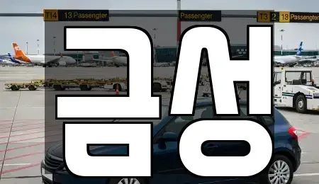 서울 도봉구 쌍문동 렌트카 전문 금성