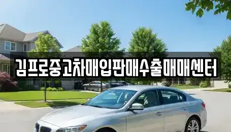 서울 도봉구 쌍문동 중고차 전문 김프로중고차매입판매수출매매센터