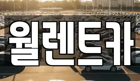 서울 동작구 동작동 렌트카 전문 월렌트카