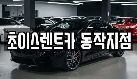 서울 동작구 동작동 렌트카 전문 초이스렌트카 동작지점