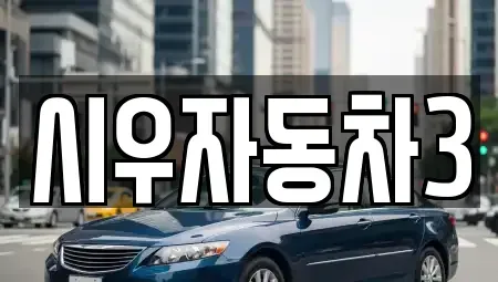 서울 동작구 동작동 중고차 전문 시우자동차3