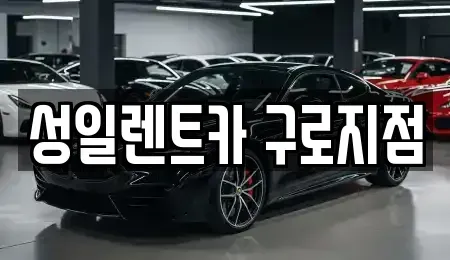 서울 영등포구 대림동 단기렌트카 전문 성일렌트카 구로지점