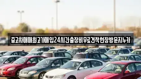 서울 영등포구 영등포동6가 중고차매입 전문 중고차매매최고가매입24시간출장비무료견적현장방문지누카