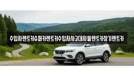 서울 용산구 주성동 렌트카 전문 수입차렌트카슈퍼카렌트카수입차사고대차월렌트카장기렌트카