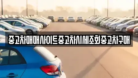 서울 용산구 주성동 중고차 전문 중고차매매사이트중고차시세조회중고차구매