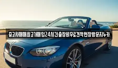 서울 용산구 주성동 중고차 전문 중고차매매최고가매입24시간출장비무료견적현장방문지누카